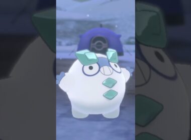 ガラル ダルマッカ Galar Darumaka【ポケモン剣盾】