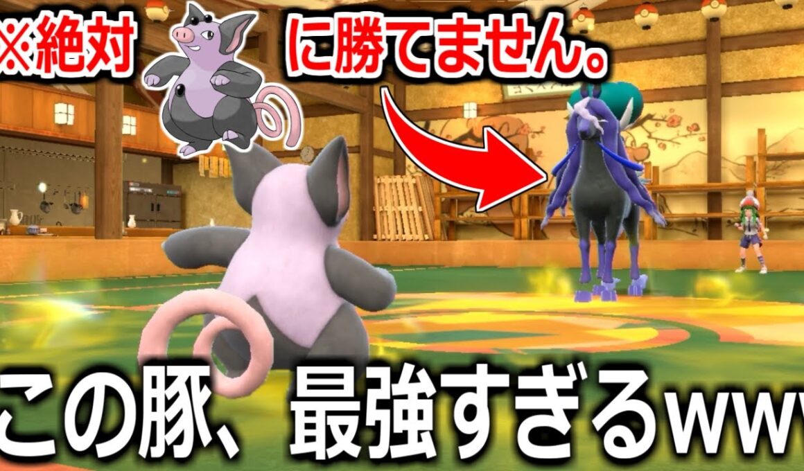 天才的な構築の"ブーピッグ"を魔境のランクマに放り込んだらめちゃくちゃ活躍しててワロタｗｗｗｗ🐷【ポケモンSV実況】