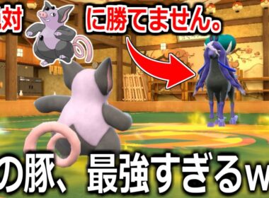 天才的な構築の"ブーピッグ"を魔境のランクマに放り込んだらめちゃくちゃ活躍しててワロタｗｗｗｗ🐷【ポケモンSV実況】