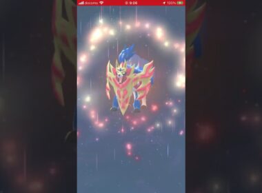 たてのおう　ザマゼンタ100 姿を変える