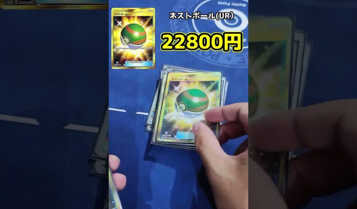 所持デッキ値段紹介（メガフシギバナ編）#ポケカ #short #pokemoncard #ポケモン