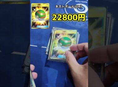 所持デッキ値段紹介（メガフシギバナ編）#ポケカ #short #pokemoncard #ポケモン