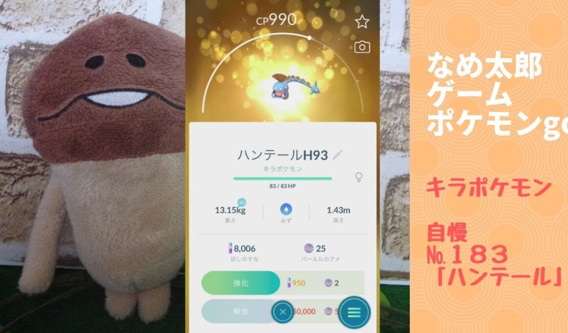 【縦画面スマホ向け】なめ太郎のキラポケモン自慢コーナー１８３「ハンテール」【ポケモンgo】