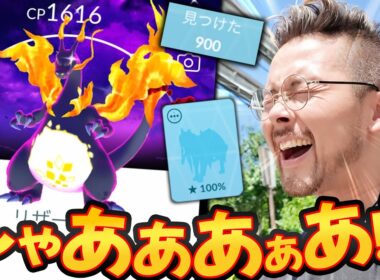 色違い背景ィイイイイきたああああああああああああ！！！！ザシアン900戦したぁぁぁぁぁぁぁ‥‥【ポケモンGO】