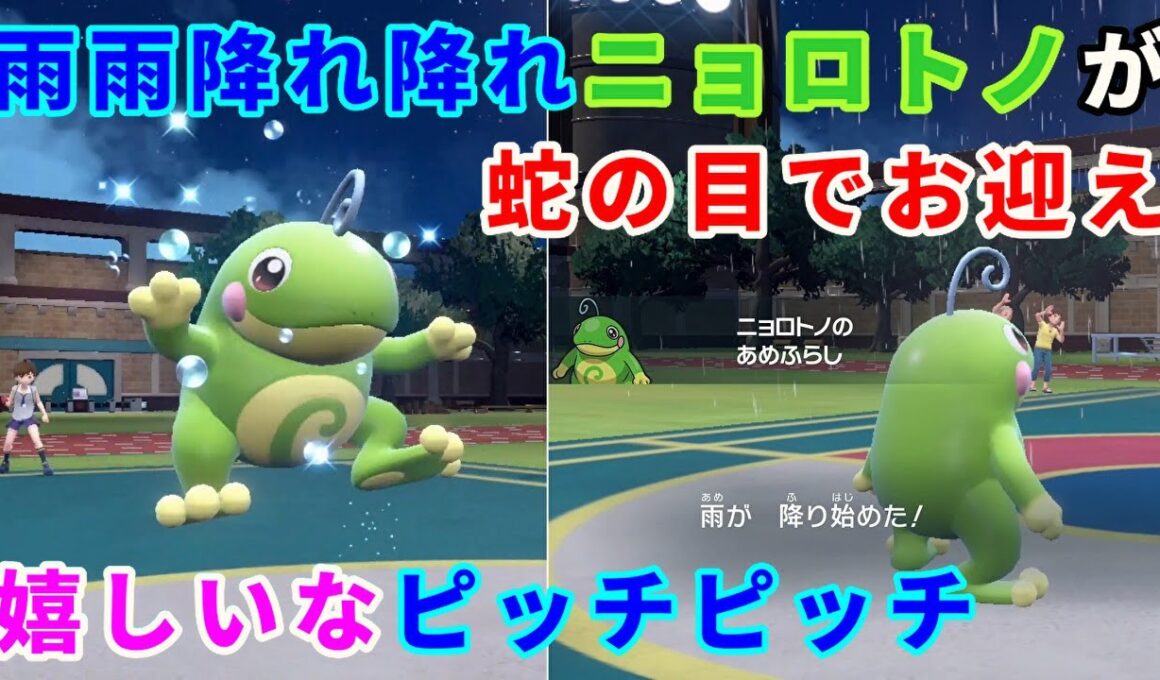 雨を降らせてくれる蛙「ニョロトノ」を活躍させたい！【ポケモンSV】