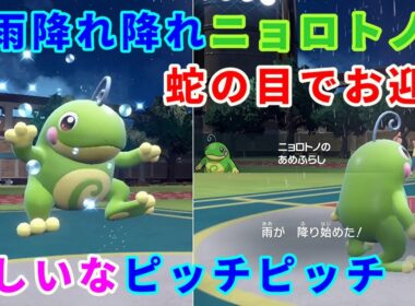 雨を降らせてくれる蛙「ニョロトノ」を活躍させたい！【ポケモンSV】