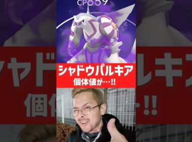 シャドウパルキア実装‼️個体値が…‼️ #ポケモンGO #シャドウパルキア　#パルキア