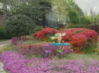 [GO Snapshot Slideshow] 플라베베 ( Flabebe ) フラベベ ( 花蓓蓓 )