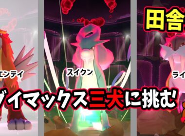 【ポケモンGO】エンジョイ勢がダイマックス三犬スイクン・エンテイ・ライコウを対策して攻略！