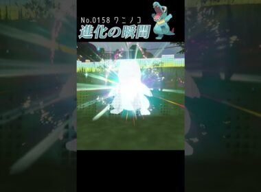 【藍の円盤】ワニノコ 進化の瞬間 #shorts