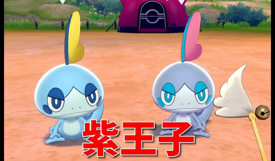 【ポケモン剣盾】無邪気な紫メッソン！