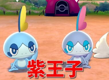 【ポケモン剣盾】無邪気な紫メッソン！