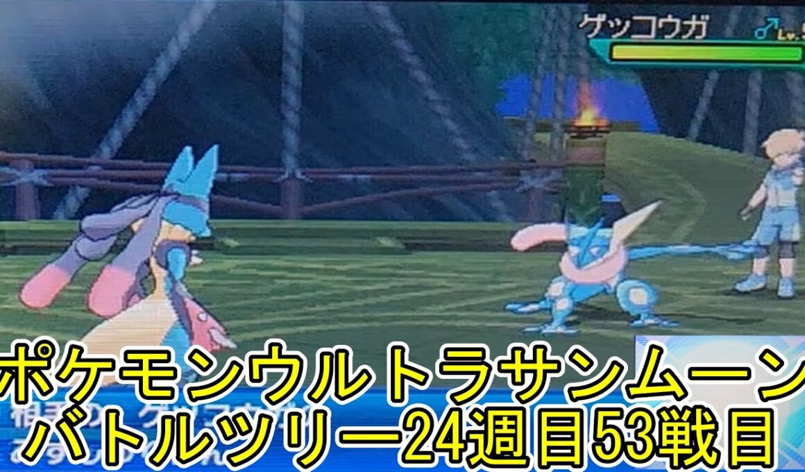 ポケモンウルトラサンムーンバトルツリー24週目38戦目