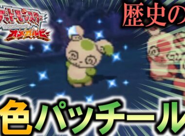 【ポケモンORAS】歴史の闇に葬られた色パッチール群れ厳選【どんぱち】