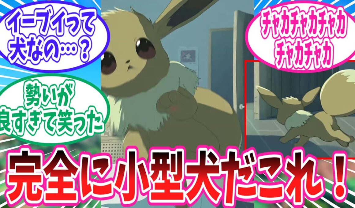 あまりにも小型犬すぎるイーブイのポケ起きに対するトレーナー達の反応集【ポケモン反応集】