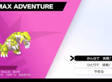 色違いグラードン厳選 ダイマックスアドベンチャー　ポケモン剣盾