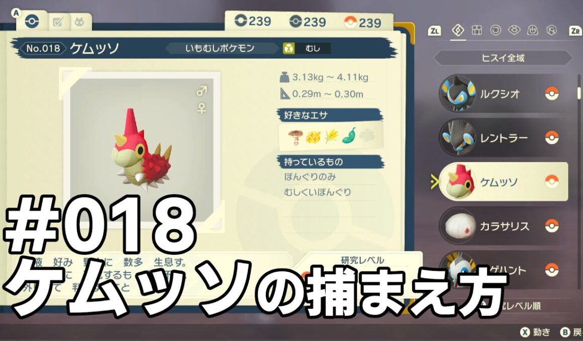 ケムッソを探している方に見てほしい動画