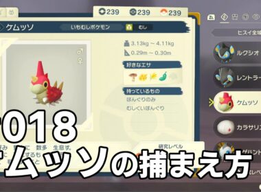 ケムッソを探している方に見てほしい動画
