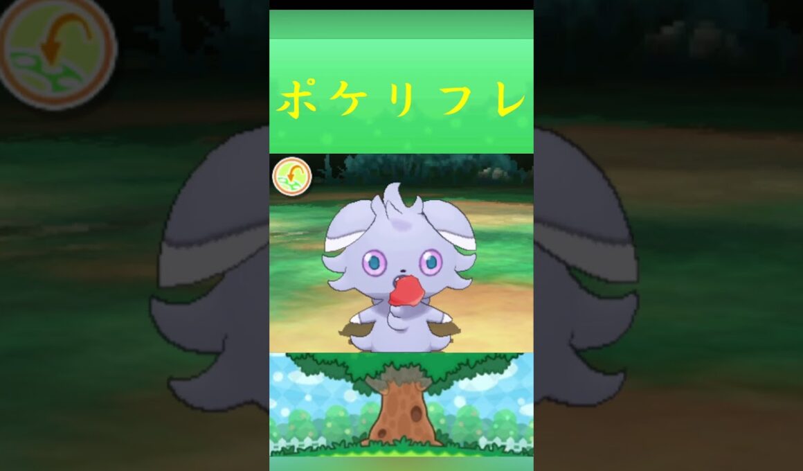 ポケモン ニャスパー ポケリフレ ポケパルレ #ポケモン #Pokemon  #3DS #ポケモン技 #ポケモンsv #ポケモン #ふれあい #キャンプ #カレー #サンドイッチ #ピクニック