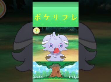 ポケモン ニャスパー ポケリフレ ポケパルレ #ポケモン #Pokemon  #3DS #ポケモン技 #ポケモンsv #ポケモン #ふれあい #キャンプ #カレー #サンドイッチ #ピクニック