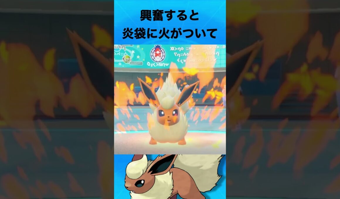 ブースターについて #ポケモン #ブースター #ブイズ