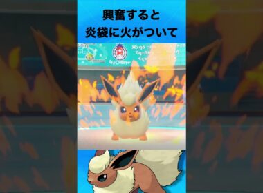ブースターについて #ポケモン #ブースター #ブイズ