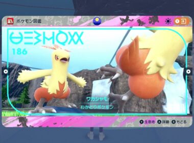 ＜ポケモンSV＞ No.１８６ ワカシャモ 色違い ＜Pokémon＞