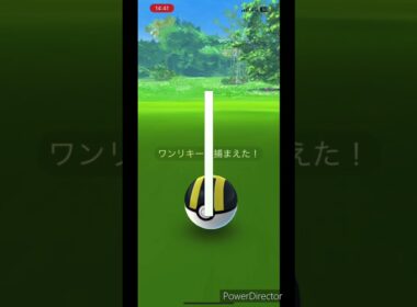 【ポケモンGO】ワンリキー色違いをGetから進化！！#shrots #ポケモン #ポケモンgo #pokemongo #色違い #ワンリキー  #つるっぱげたけちゃんのおやじちゃんねる