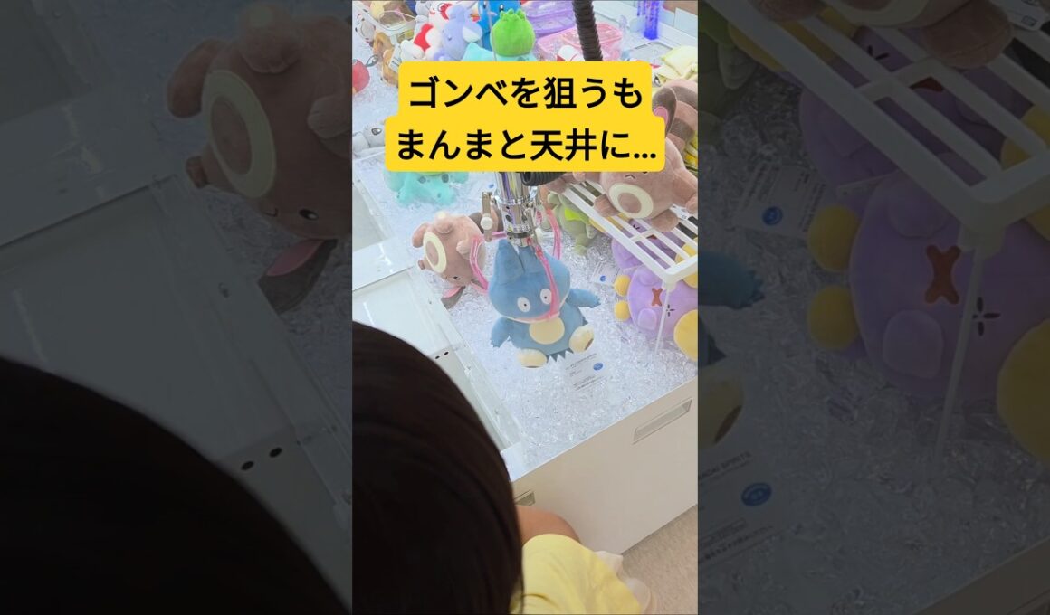 ゴンベを狙うもまんまと天井に…#クレーンゲーム#ゲーセン#鬼設定#アシスト