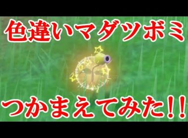【ポケモンSV】色違いマダツボミつかまえてみた！！