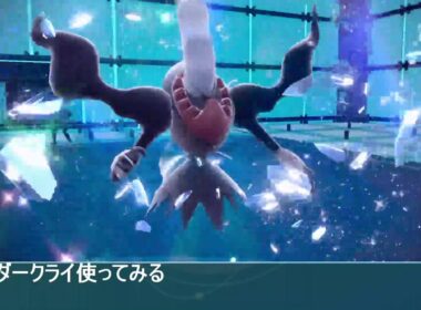 #ピヨリリィ練習会 レギュJダブル仲間大会 ダークライ+フェアリーアルセウス