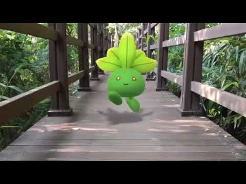 뚜벅쵸 ( Oddish ) ナゾノクサ ( 走路草 )  (16:9)