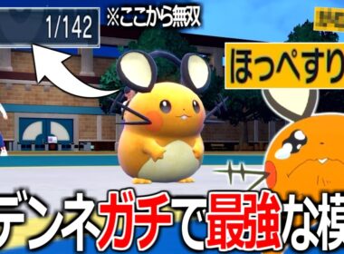 HP1から"デデンネ"が禁伝相手に無双する姿を見てほしい。【ポケモンSV実況】