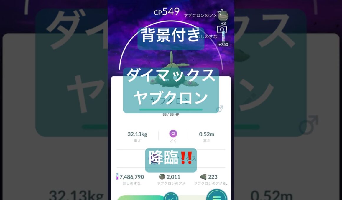 【紫黒の空】ヤブクロンのダイマックスレイドバトル参戦動画/ソロ討伐#ポケモンgo #pokemongo