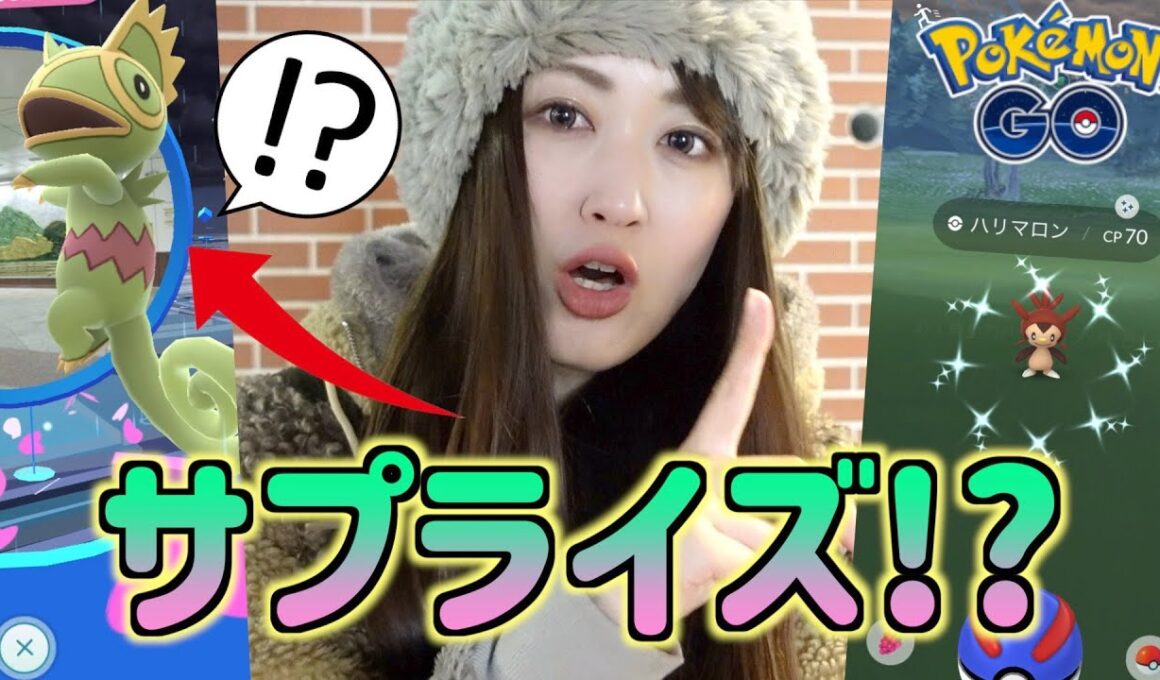 ハリマロンコミュデイでサプライズ!? カクレオンを探せ!!【ポケモンGO】