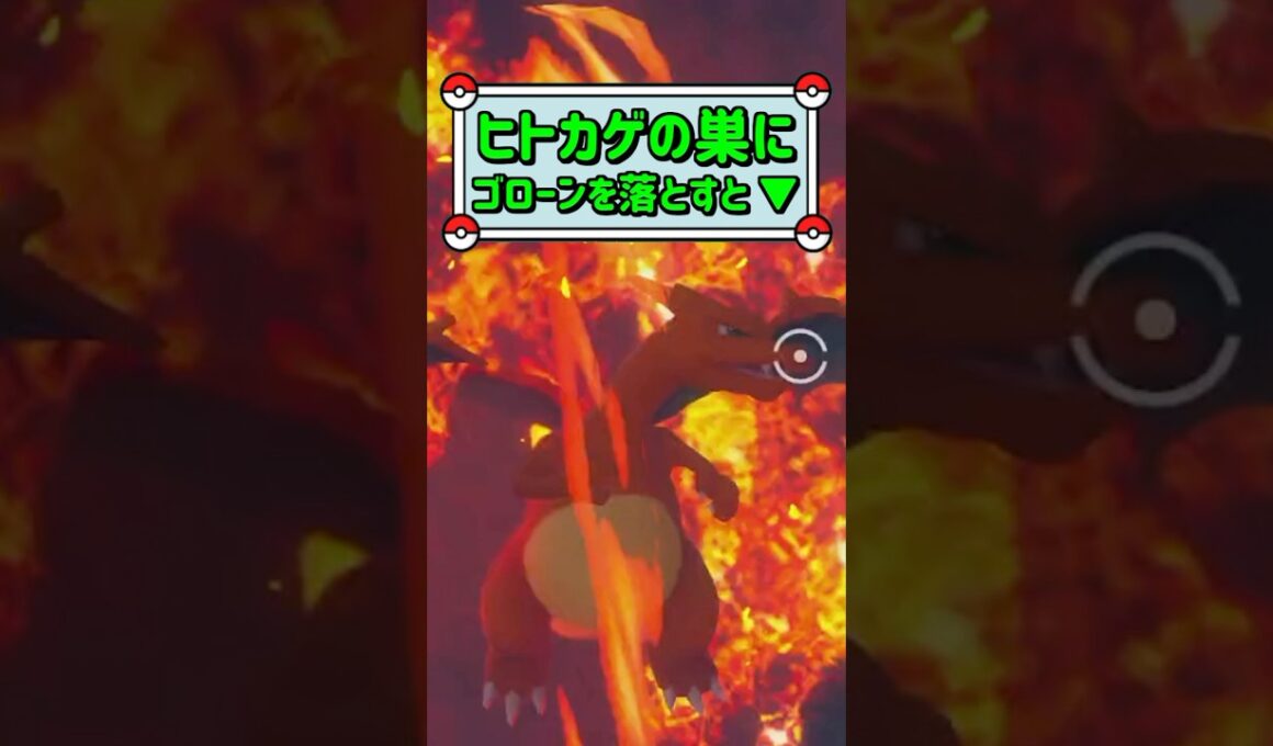 「ヒトカゲの巣にゴローンを落とすと ▼」　#ポケモン　#ポケモンスナップ　#ポケスナ　#shorts