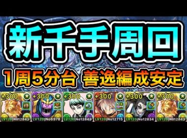 【パズドラ】ピィなどの素材を集めよう！全敵対応！再臨の超星！浄罪の千龍！1周5分台！善逸編成で安定周回！【新千手】【概要欄に詳細など記載】