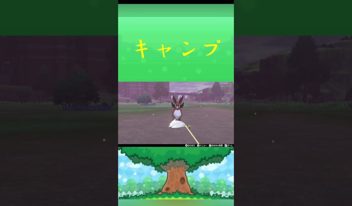 ポケモン フォクスライ キャンプ ポケリフレ ポケパルレ #ポケモン #Pokemon  #nintendoswitch  #ポケモンsv  #ふれあい #キャンプ  #ピクニック #ポケモン剣盾