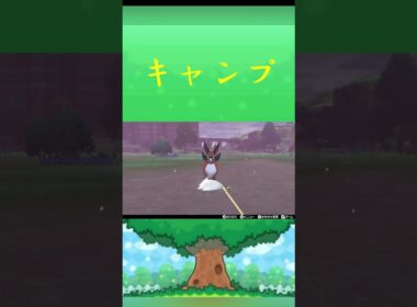 ポケモン フォクスライ キャンプ ポケリフレ ポケパルレ #ポケモン #Pokemon  #nintendoswitch  #ポケモンsv  #ふれあい #キャンプ  #ピクニック #ポケモン剣盾