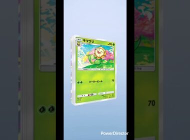 【ポケポケ】毎日ガチャ🔴オタチ#おれポケ #ポケモンカード #ポケカ再販最新情報 #ポケモン #ポケカ #pokemon