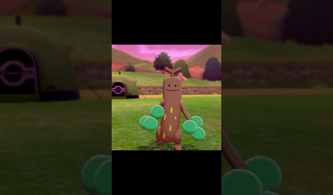 駆け寄ってくるウソッキー　#Shorts