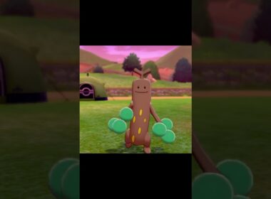 駆け寄ってくるウソッキー　#Shorts