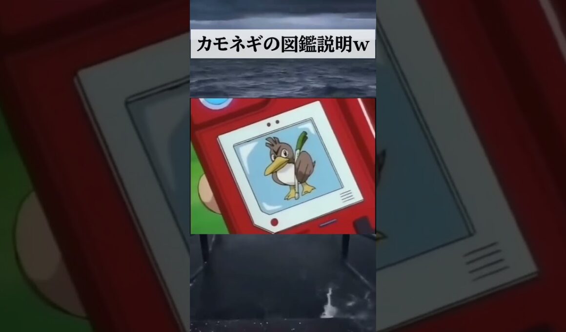 カモネギの図鑑説明w #shorts #ポケモン #ネタ #ネギ #おもしろ #ミーム