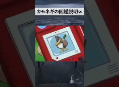 カモネギの図鑑説明w #shorts #ポケモン #ネタ #ネギ #おもしろ #ミーム
