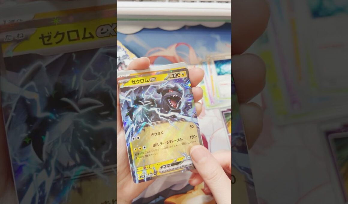 ２枚目ゼクロム！#ポケモン #ポケモンカード #ポケカ #ポケカ開封 #カード開封 #夜焚ひめ #vtuber #shorts