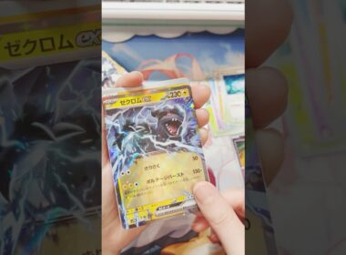 ２枚目ゼクロム！#ポケモン #ポケモンカード #ポケカ #ポケカ開封 #カード開封 #夜焚ひめ #vtuber #shorts
