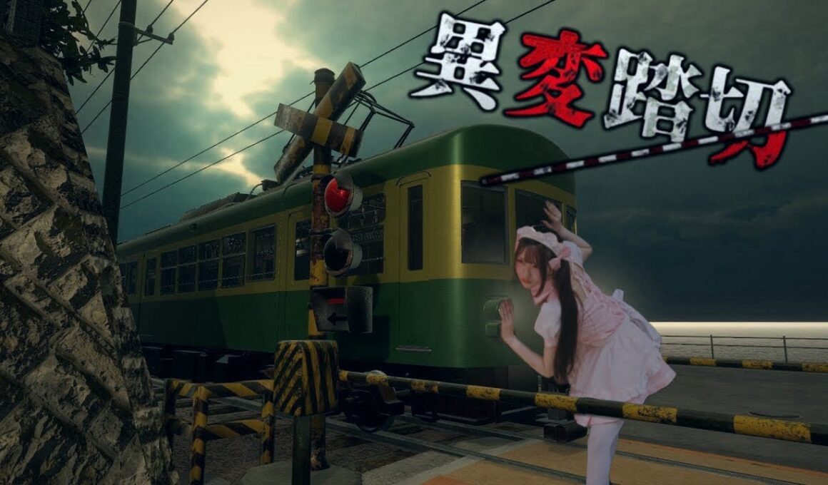 【異変踏切】リベンジさせて下さい【ﾋﾟｯﾋﾟﾁｬﾝﾈﾙ】