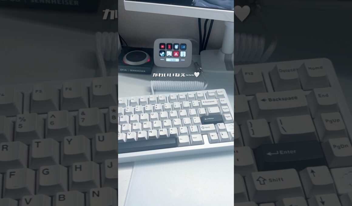 コイルケーブルげっちゅ🤍🤍