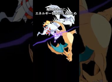 ポケモンの雑学3選Part341  #なぞはな #ポケモン #ポケモンカード #ポケモンオリジナルアニメ #ポケモンゲーム実況 #shorts #ビクティニ #ノズパス #ルリリ