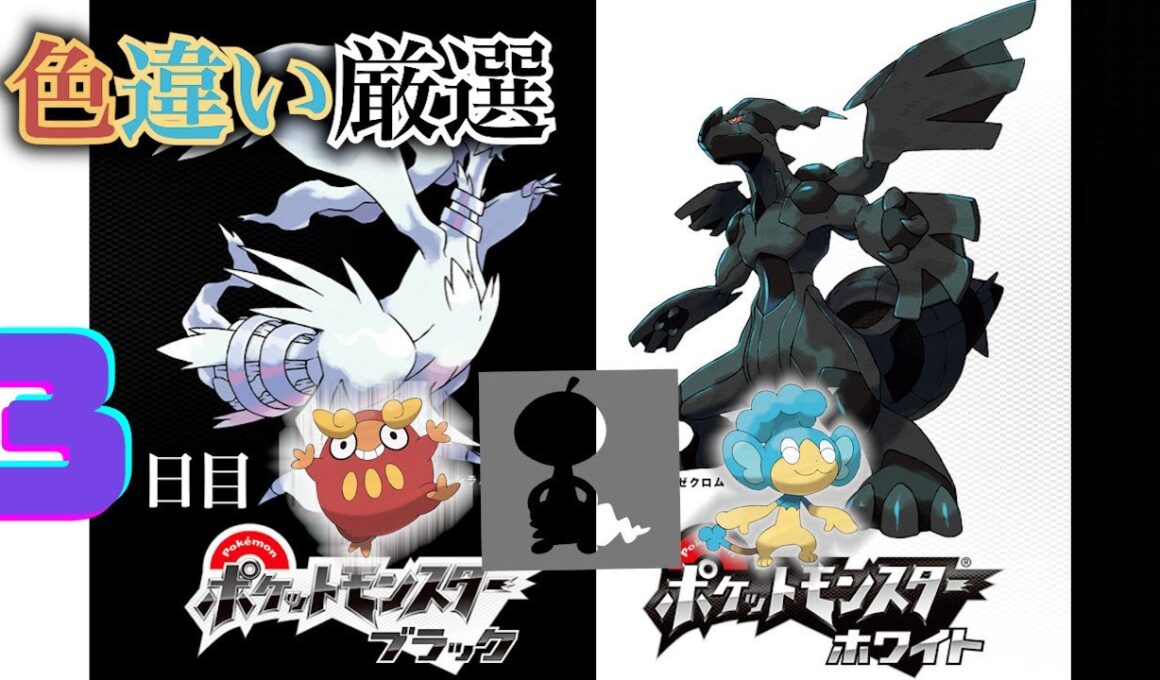 【ポケモンBW】4番道路(Shiny Pokémon)厳選(3日目) ~ヒヤップを添えて~